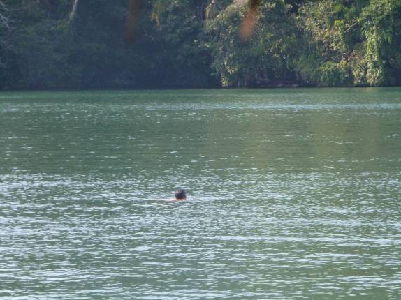 Nadando no rio Dulce, emfrente à Round House, na região de Livingston, no litoral da Guatemala